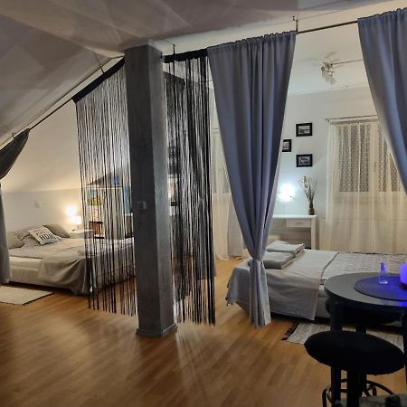 Apartman Atelier 卡尔洛瓦茨 外观 照片