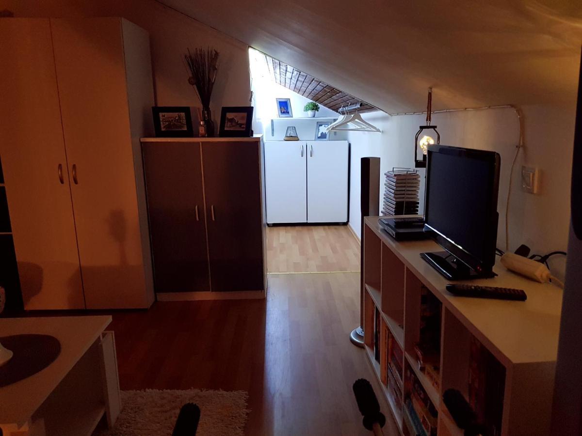 Apartman Atelier 卡尔洛瓦茨 外观 照片