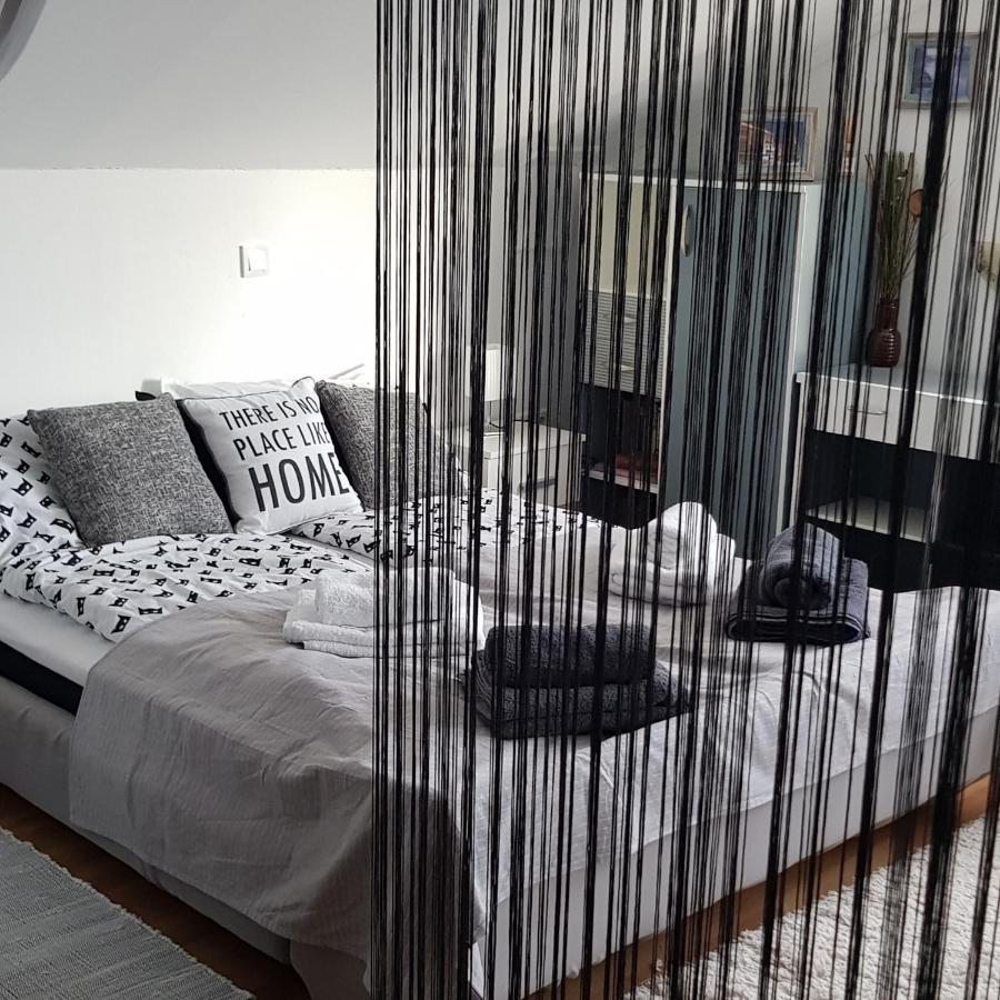 Apartman Atelier 卡尔洛瓦茨 外观 照片