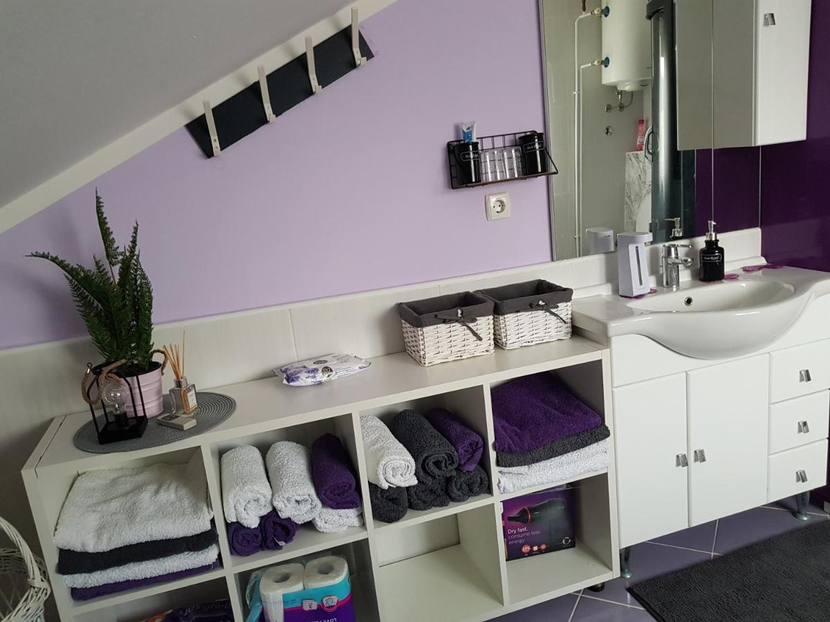 Apartman Atelier 卡尔洛瓦茨 外观 照片