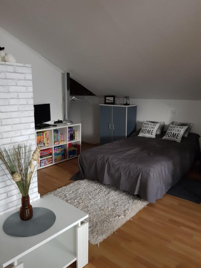 Apartman Atelier 卡尔洛瓦茨 外观 照片