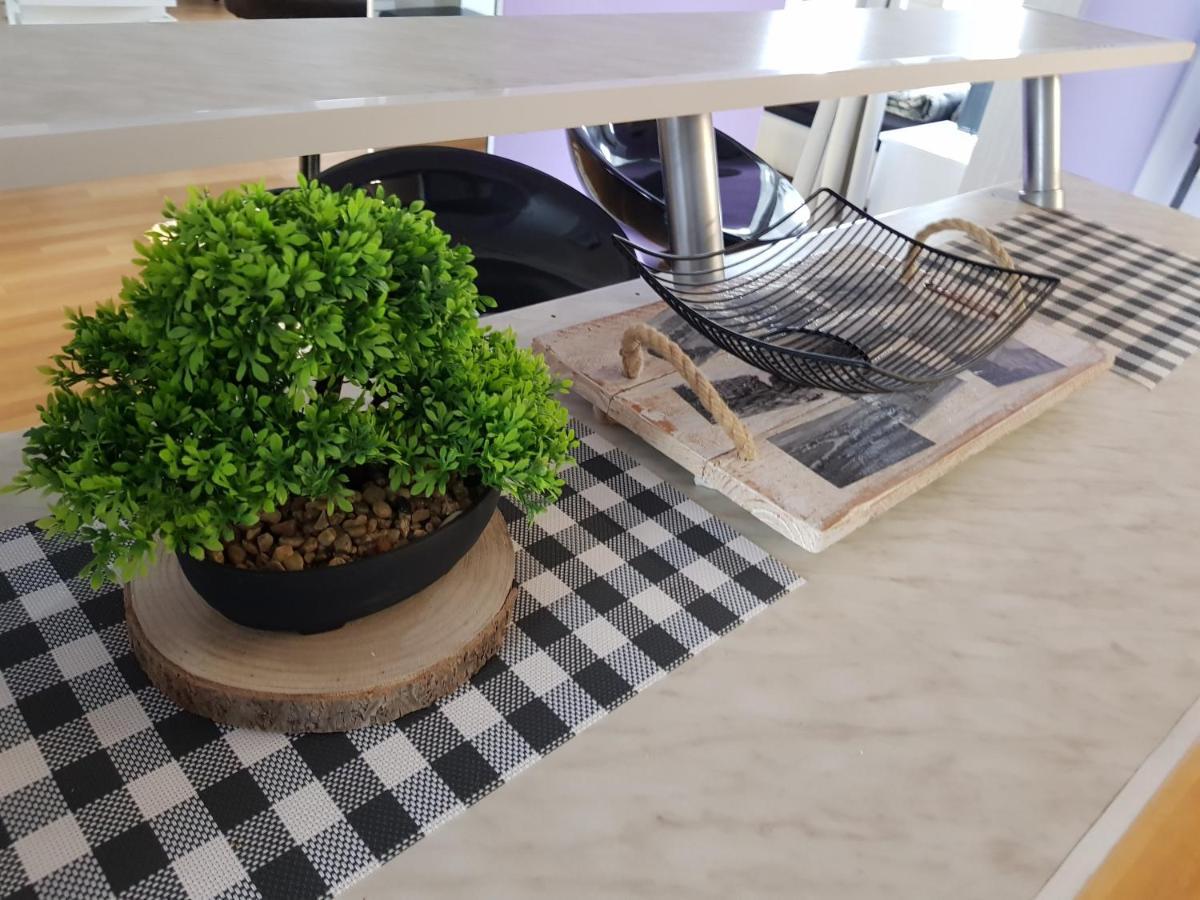 Apartman Atelier 卡尔洛瓦茨 外观 照片
