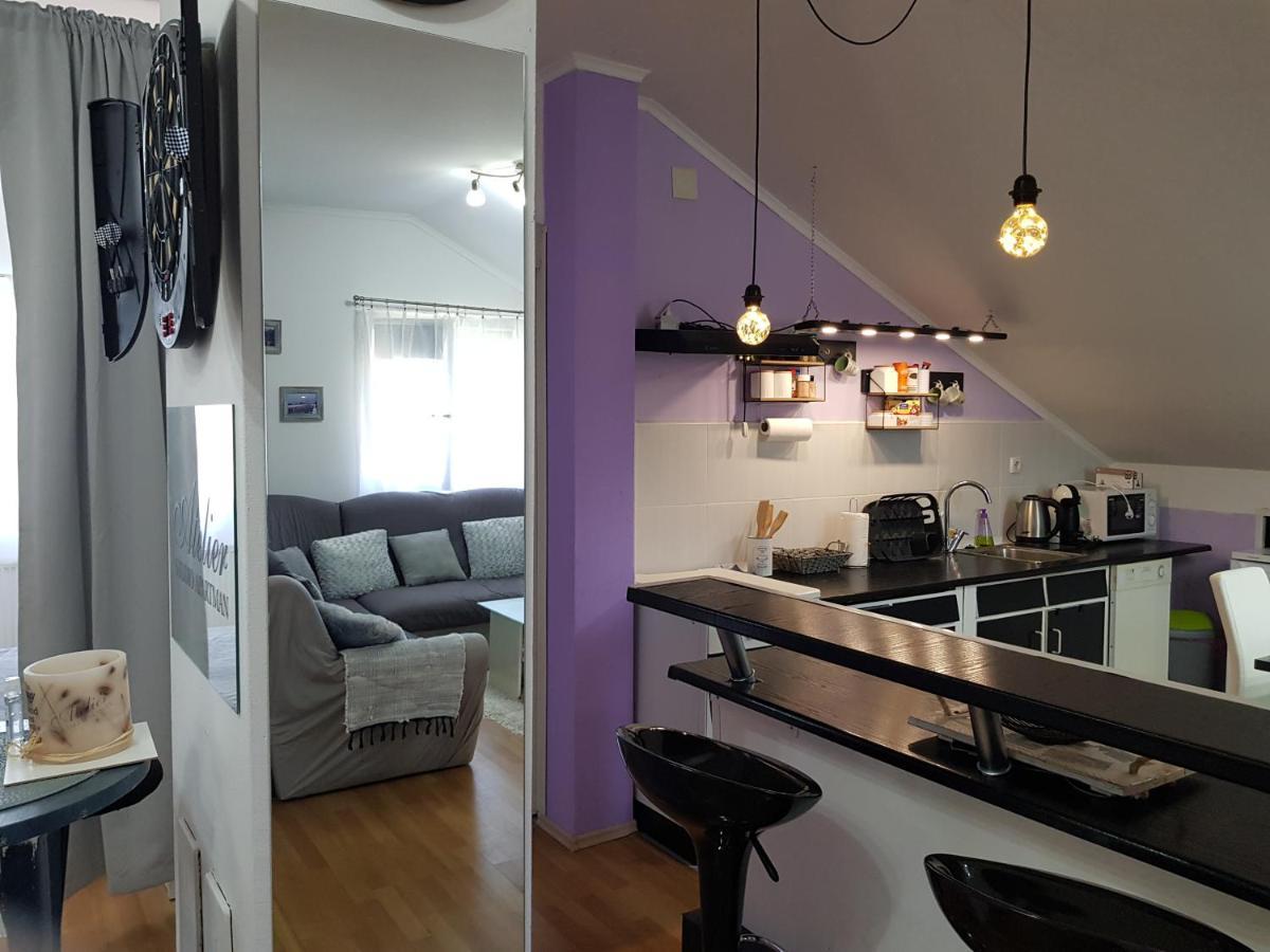 Apartman Atelier 卡尔洛瓦茨 外观 照片