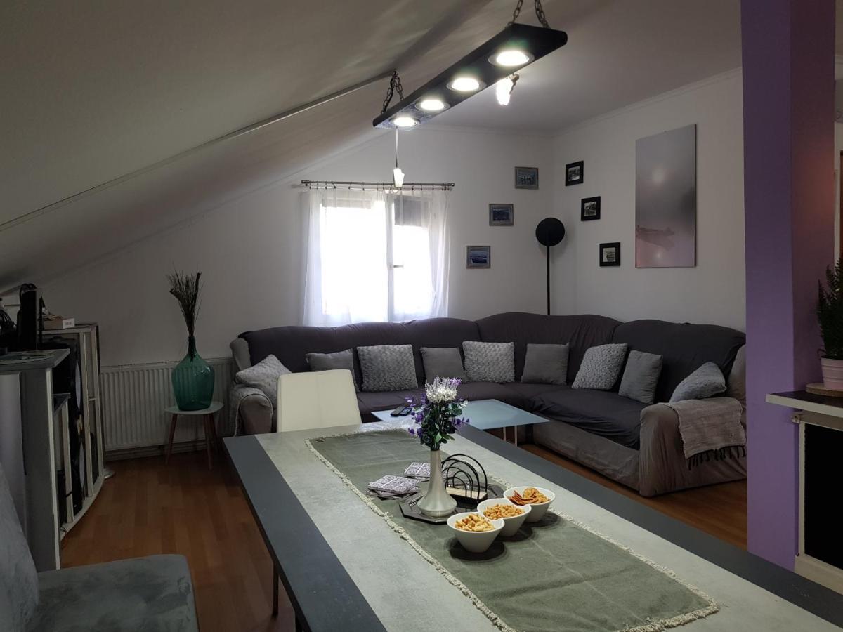 Apartman Atelier 卡尔洛瓦茨 外观 照片