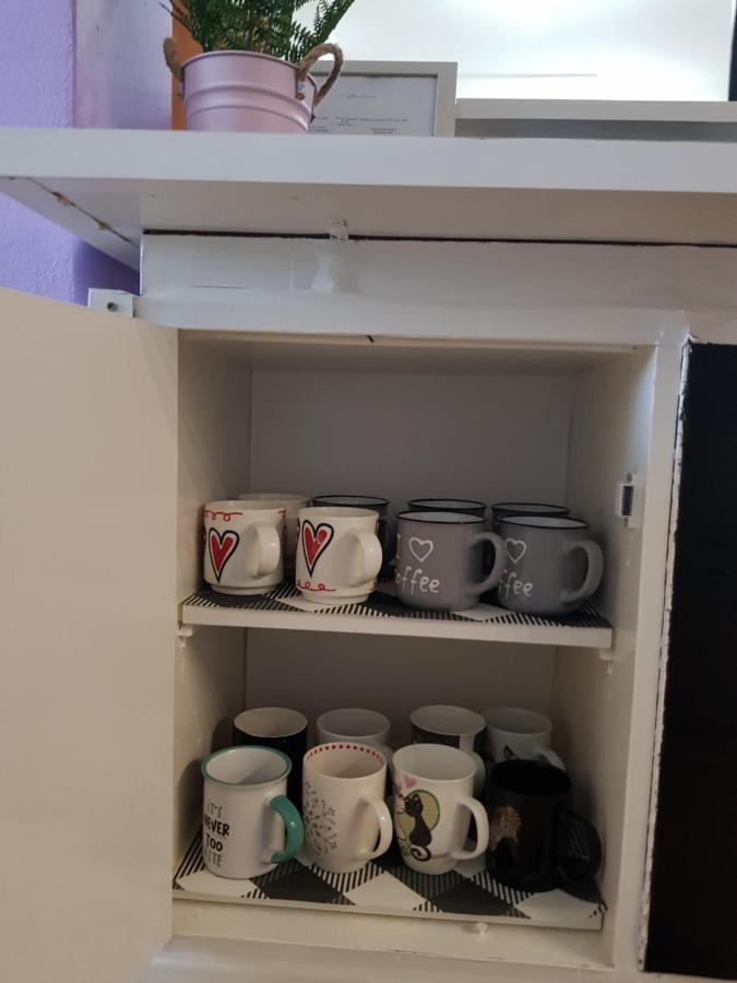 Apartman Atelier 卡尔洛瓦茨 外观 照片
