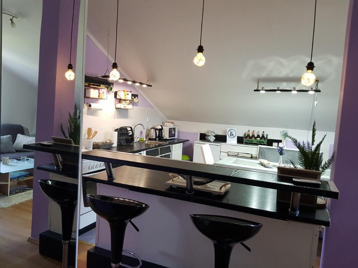 Apartman Atelier 卡尔洛瓦茨 外观 照片