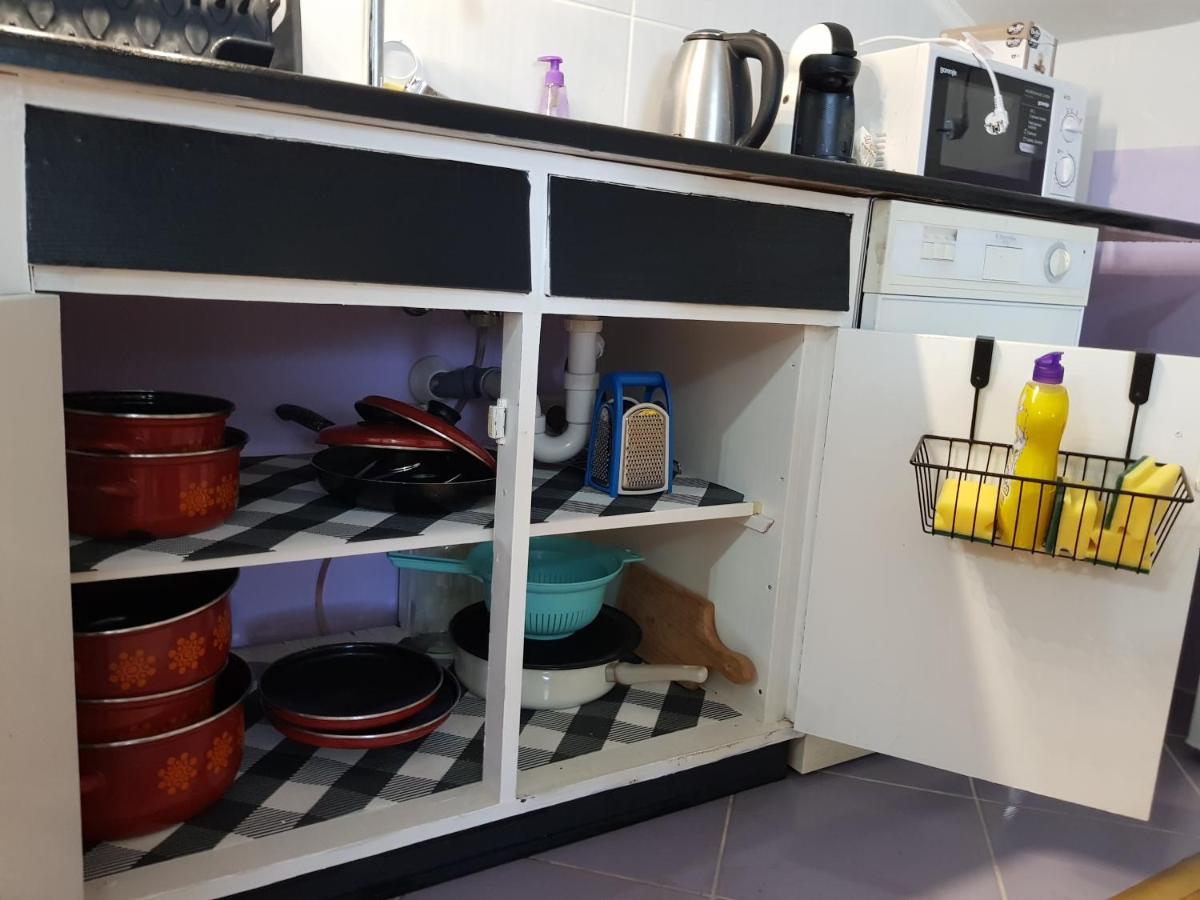 Apartman Atelier 卡尔洛瓦茨 外观 照片