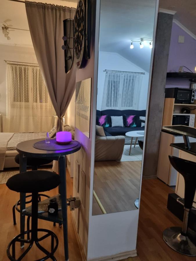 Apartman Atelier 卡尔洛瓦茨 外观 照片
