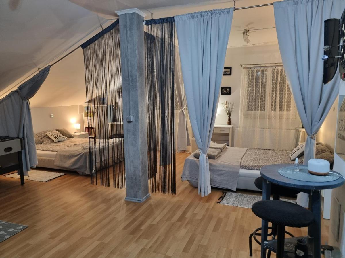 Apartman Atelier 卡尔洛瓦茨 外观 照片